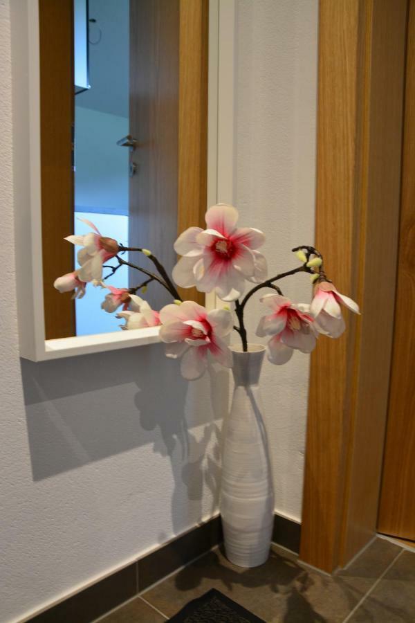 Appartement Wieshof Neukirchen am Großvenediger エクステリア 写真
